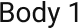 Body 1